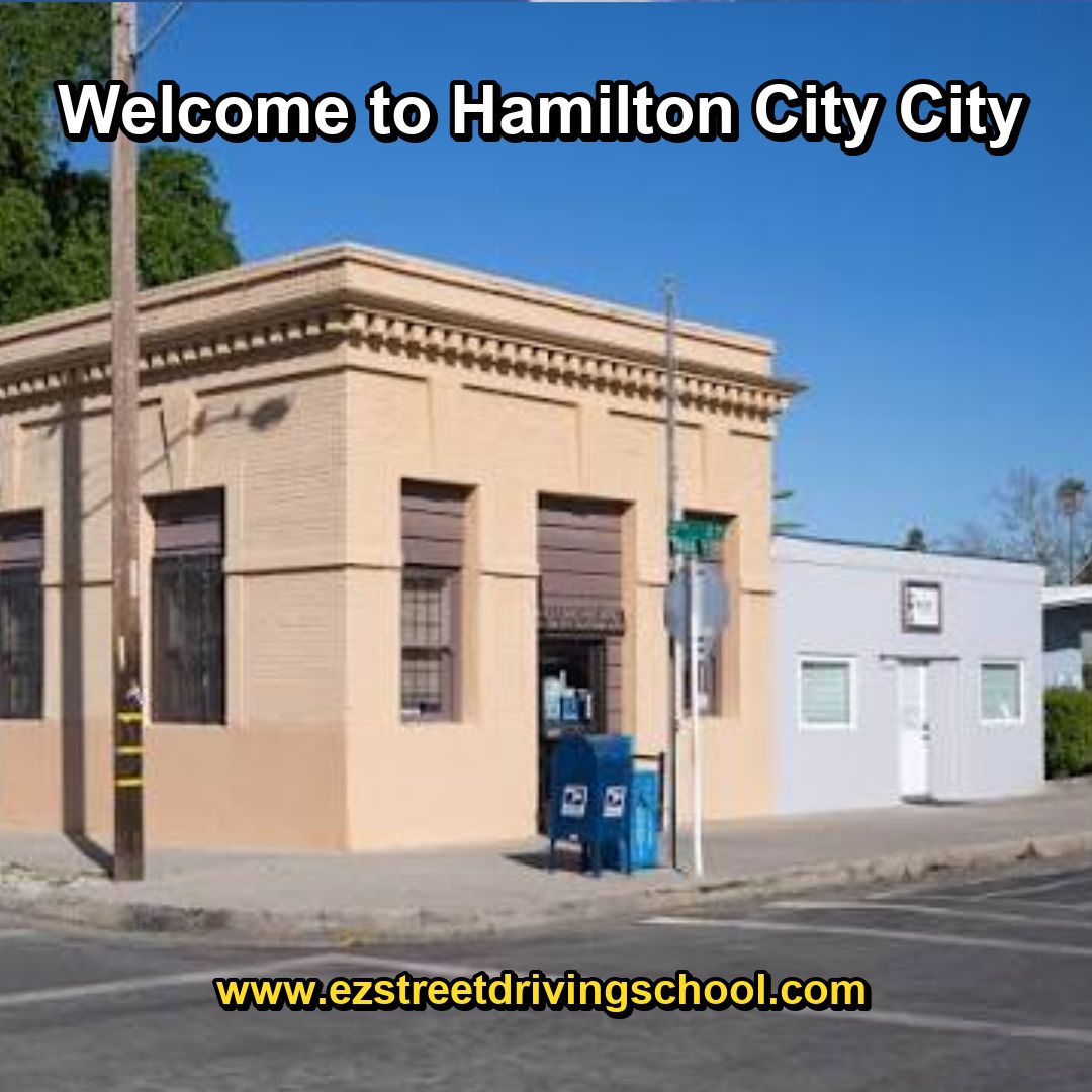 Driving Lessons in Hamilton City